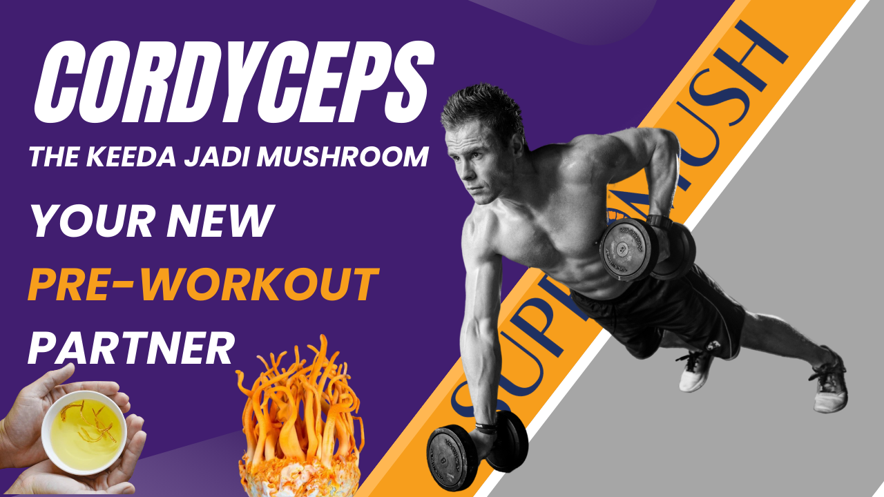 Cordyceps Militaris Mushroom: Your New Pre-Workout Partner