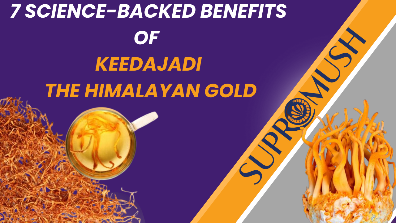 7 Science-backed Benefits of KeedaJadi, the Himalayan Gold