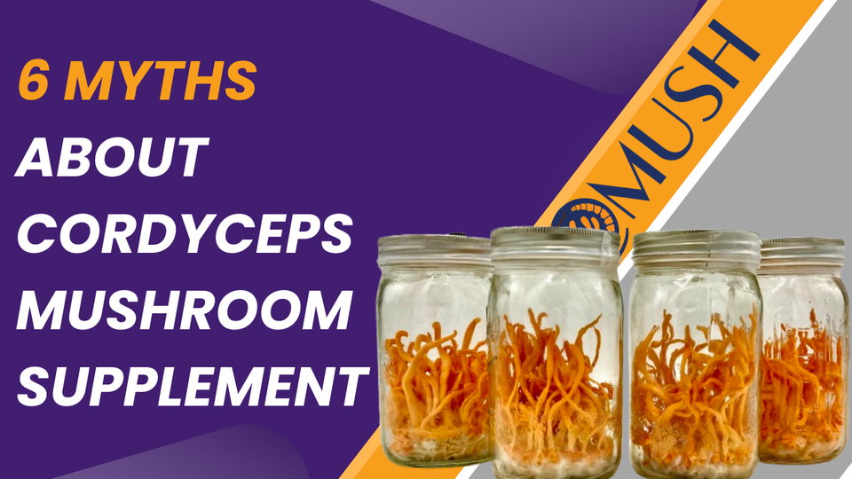 6 Myths About Cordyceps Mushroom Supplement