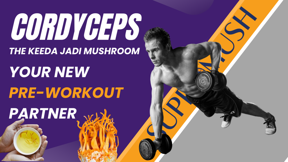 Cordyceps Militaris Mushroom: Your New Pre-Workout Partner
