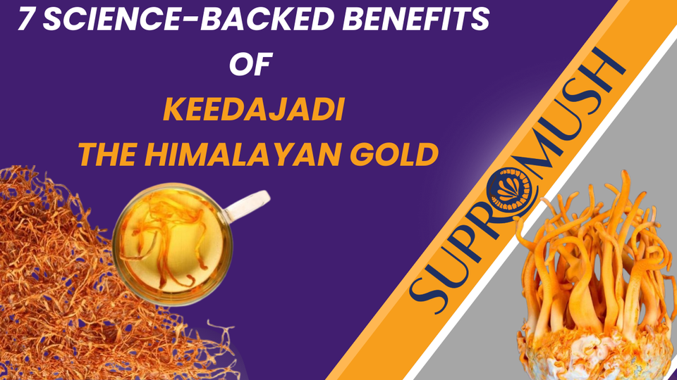 7 Science-backed Benefits of KeedaJadi, the Himalayan Gold