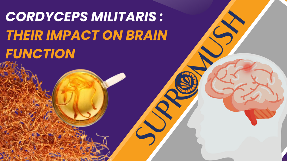 Cordyceps Militaris Supplements: Their Impact on Brain Function