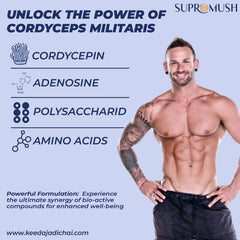 Cordyceps Militaris Immune Tea (Keedajadi Chai) – 30 Gram Pack – 1 Gram 30 Sachet